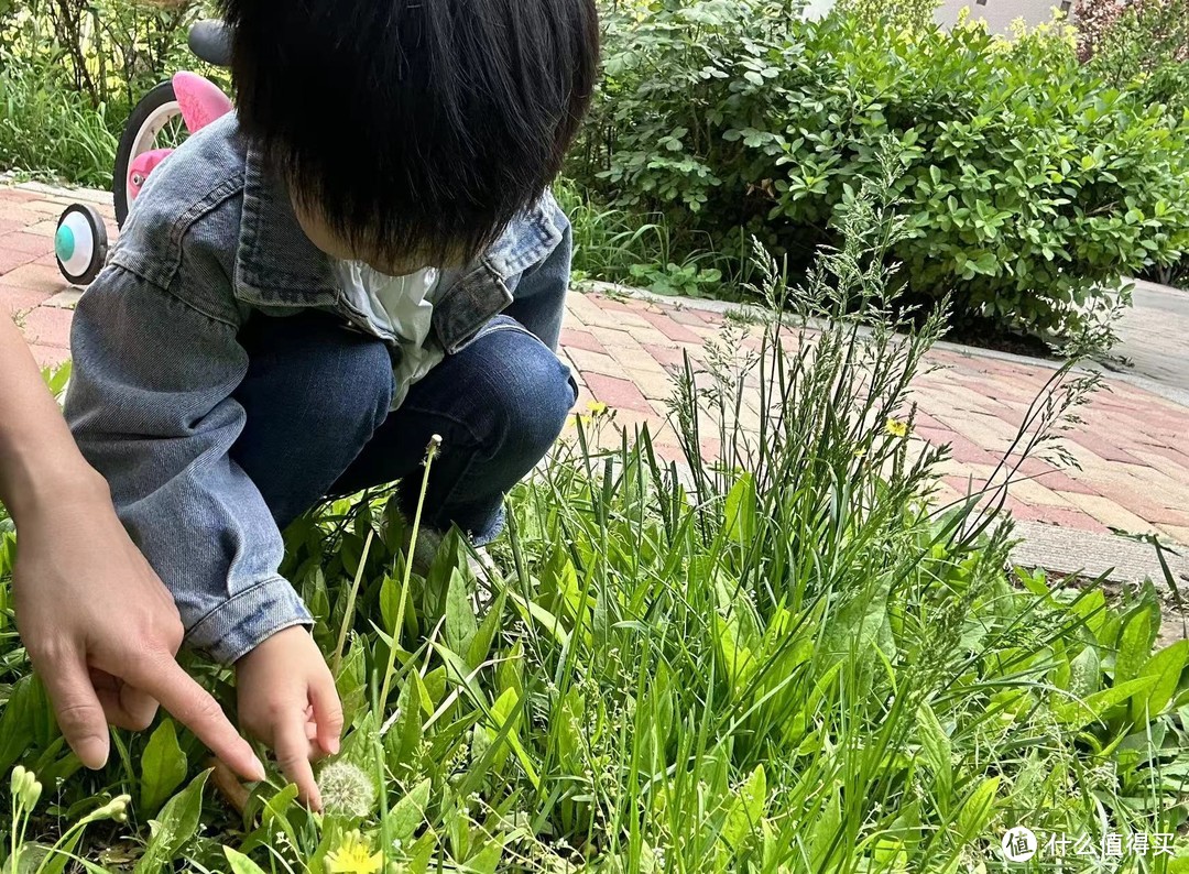 这本关于勇气的绘本绝了！读了一周了还没读完，每天都有新发现！