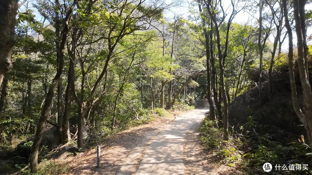 香港4日公共交通自由行游记——中环新去处和离岛慢节奏