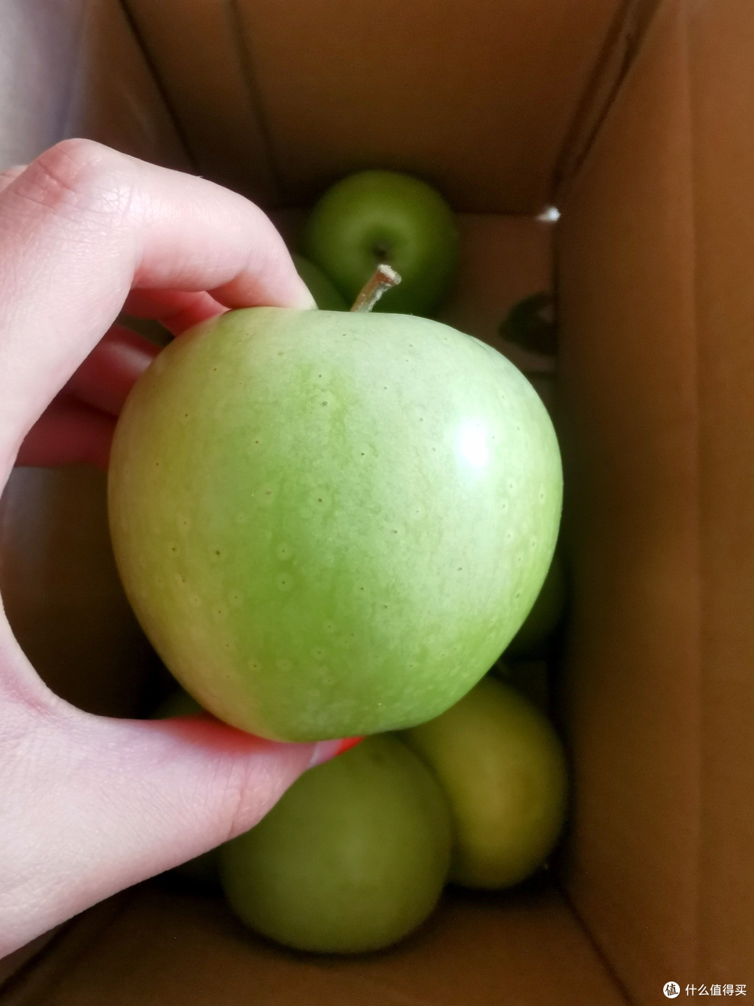645d83358e875526.jpg_e1080.jpg