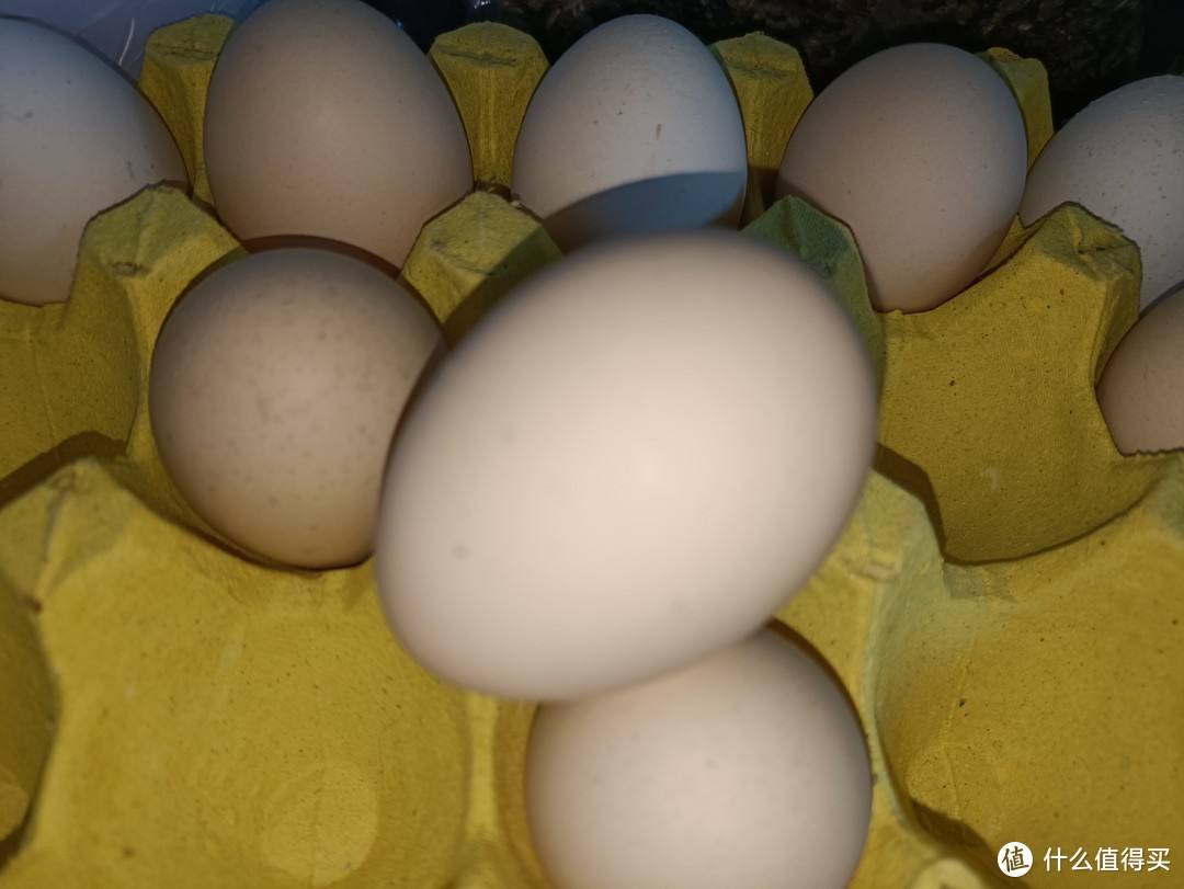 小白也能轻松挑选鸡蛋！