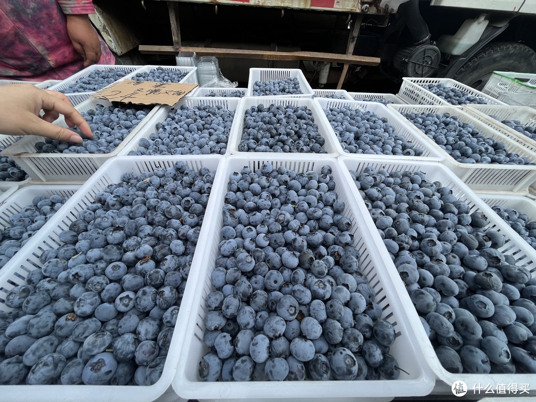 樱桃、蓝莓，在大连本地市场都什么价格！