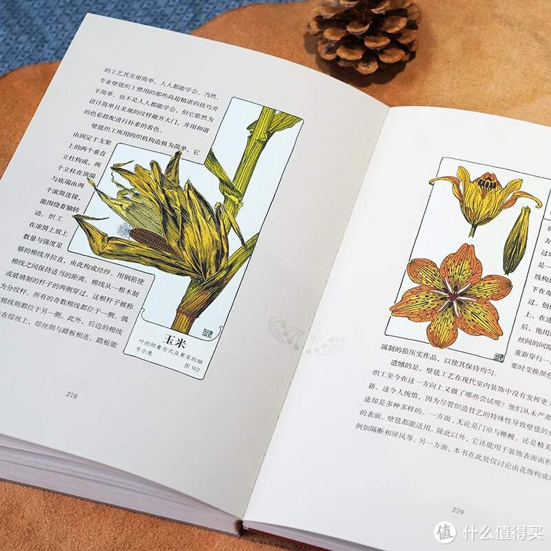 《万物有文》：一本好看又治愈的宝藏书，了解植物与艺术的邂逅！