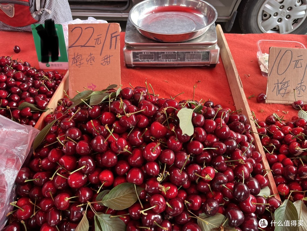 樱桃、蓝莓，在大连本地市场都什么价格！
