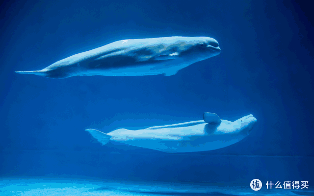 这颗深藏不露的美食明珠,是时候把它公之于众了!_国内自由行_什么值得