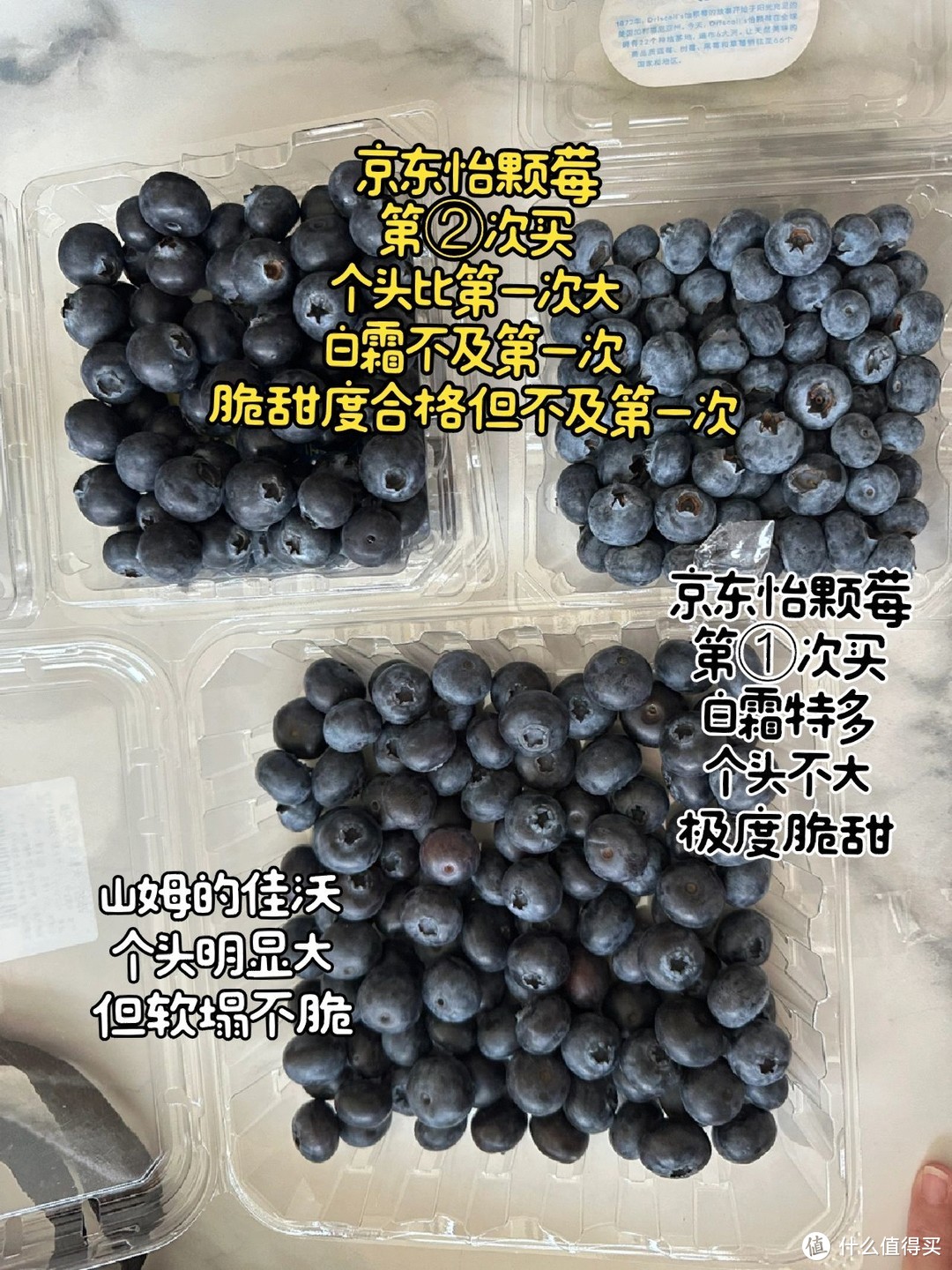 无滤镜测评蓝莓：京东自营怡颗莓vs山姆佳沃，前者完胜！
