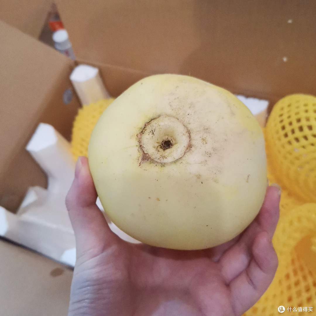 8块一个的瓜 竟然是坏的01