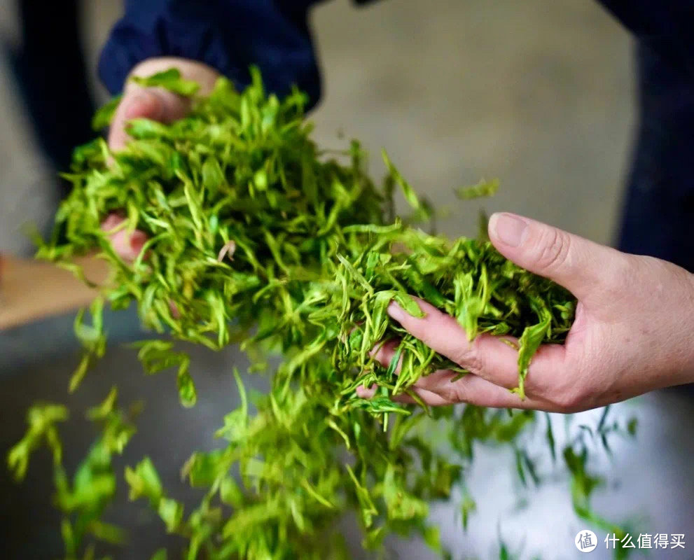 来一杯无污染无公害的雨花茶