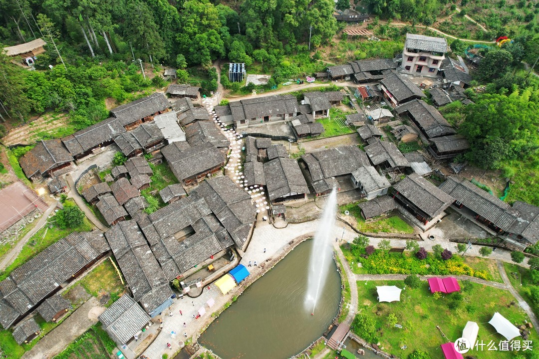 中国黄腹角雉之乡，国内观鸟胜地，明溪旅游正当时