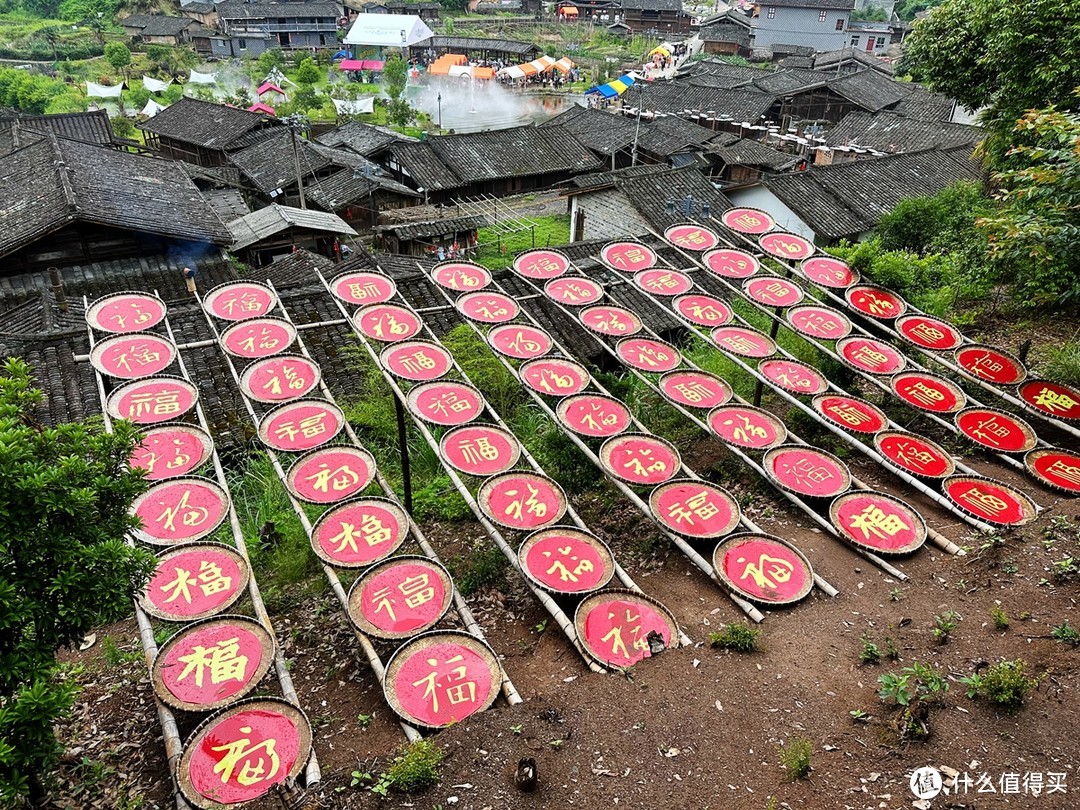 中国黄腹角雉之乡，国内观鸟胜地，明溪旅游正当时