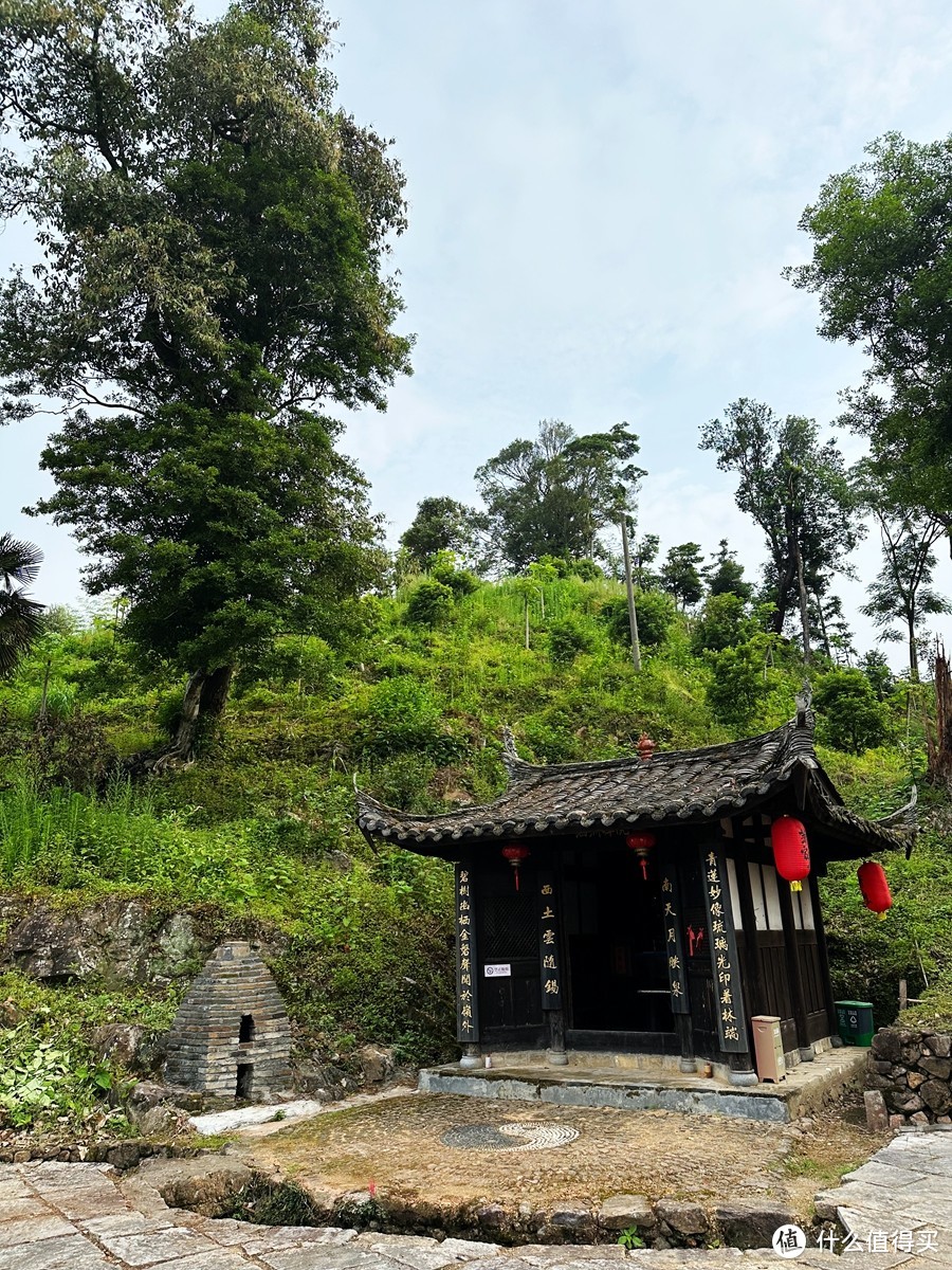 中国黄腹角雉之乡，国内观鸟胜地，明溪旅游正当时