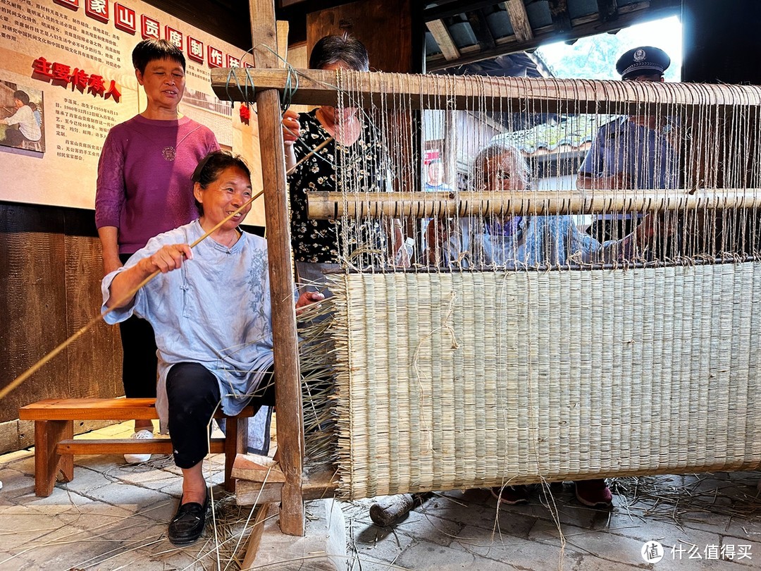 中国黄腹角雉之乡，国内观鸟胜地，明溪旅游正当时