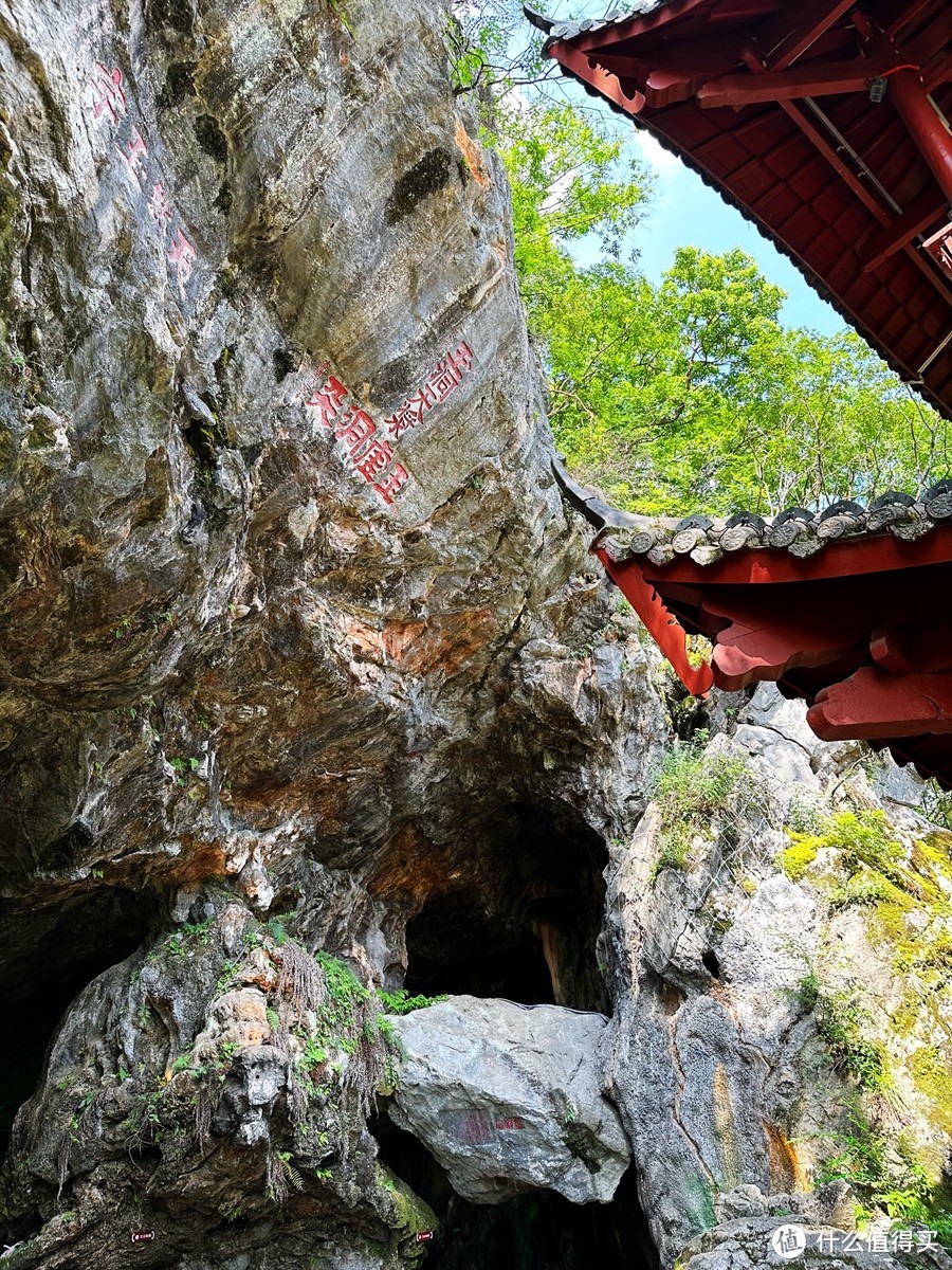 中国黄腹角雉之乡，国内观鸟胜地，明溪旅游正当时