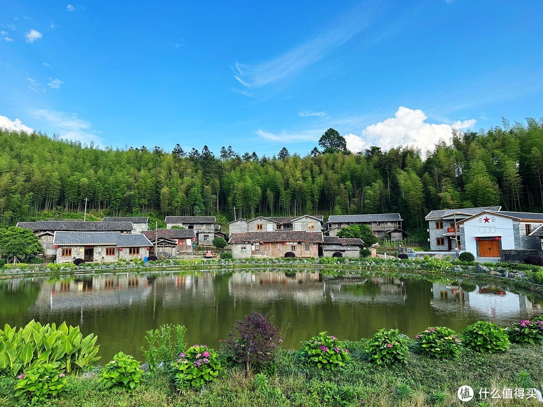 中国黄腹角雉之乡，国内观鸟胜地，明溪旅游正当时