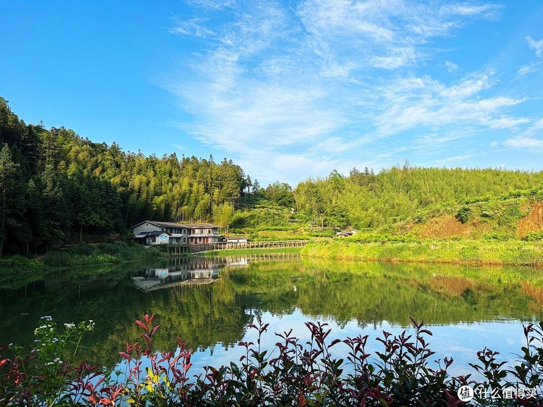 中国黄腹角雉之乡，国内观鸟胜地，明溪旅游正当时