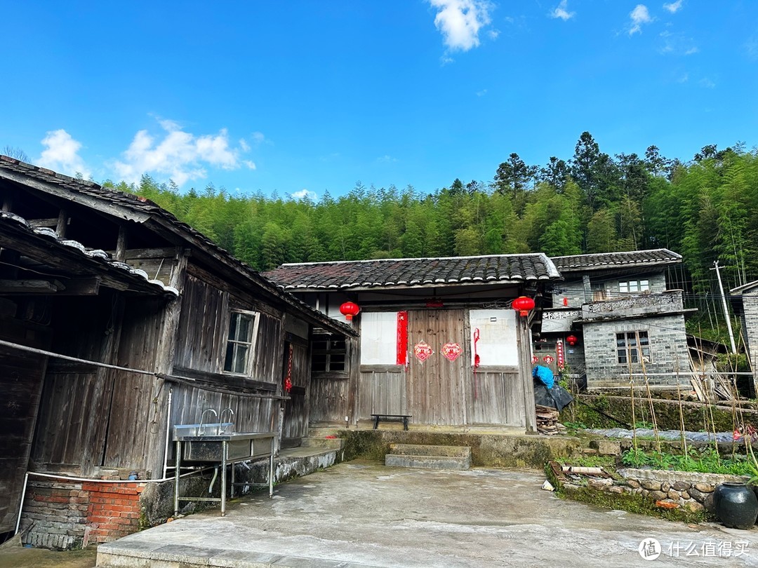 中国黄腹角雉之乡，国内观鸟胜地，明溪旅游正当时