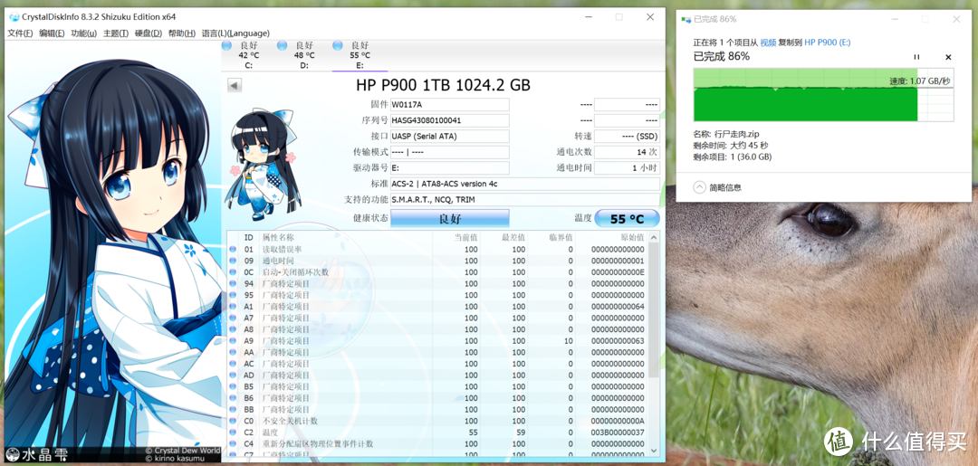 小身材大容量、2000MB/s超快速度，惠普P900高速移动固态硬盘使用分享