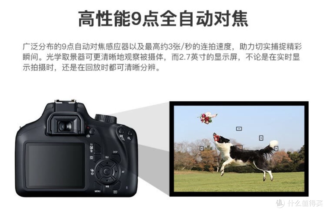 618种草好物分享：￼￼索尼（SONY）ZV-1F Vlog相机🐟佳能（Canon）EOS 4000D 单反相机