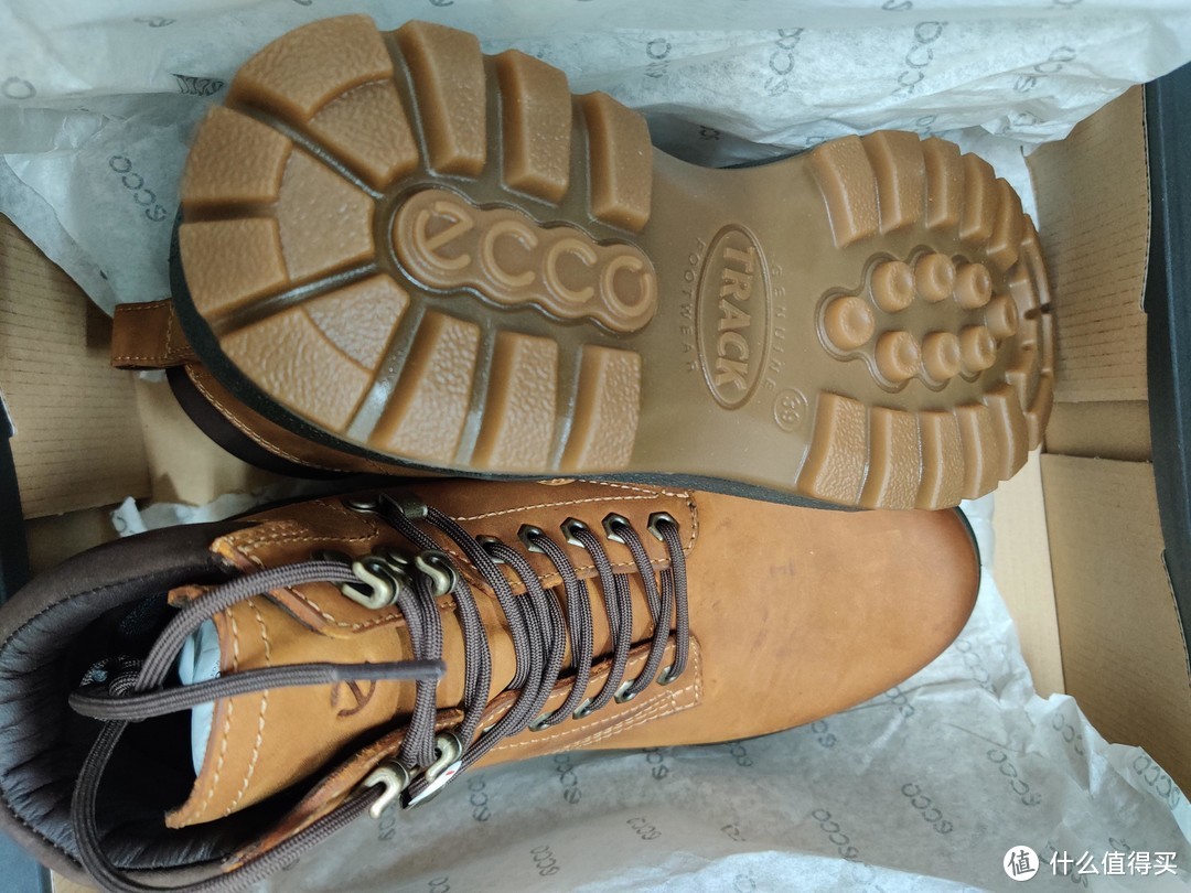 ECCO Men's Track 25 Waterproof Plain Toe Tie Hiking Boot