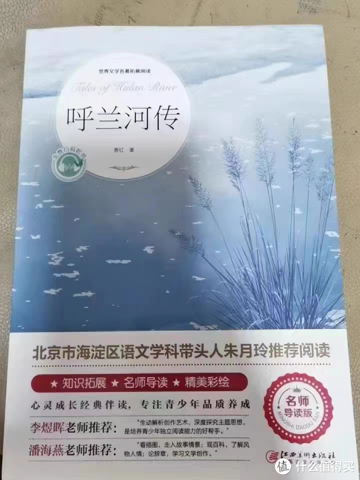 每日读书之《呼兰河传》读后感