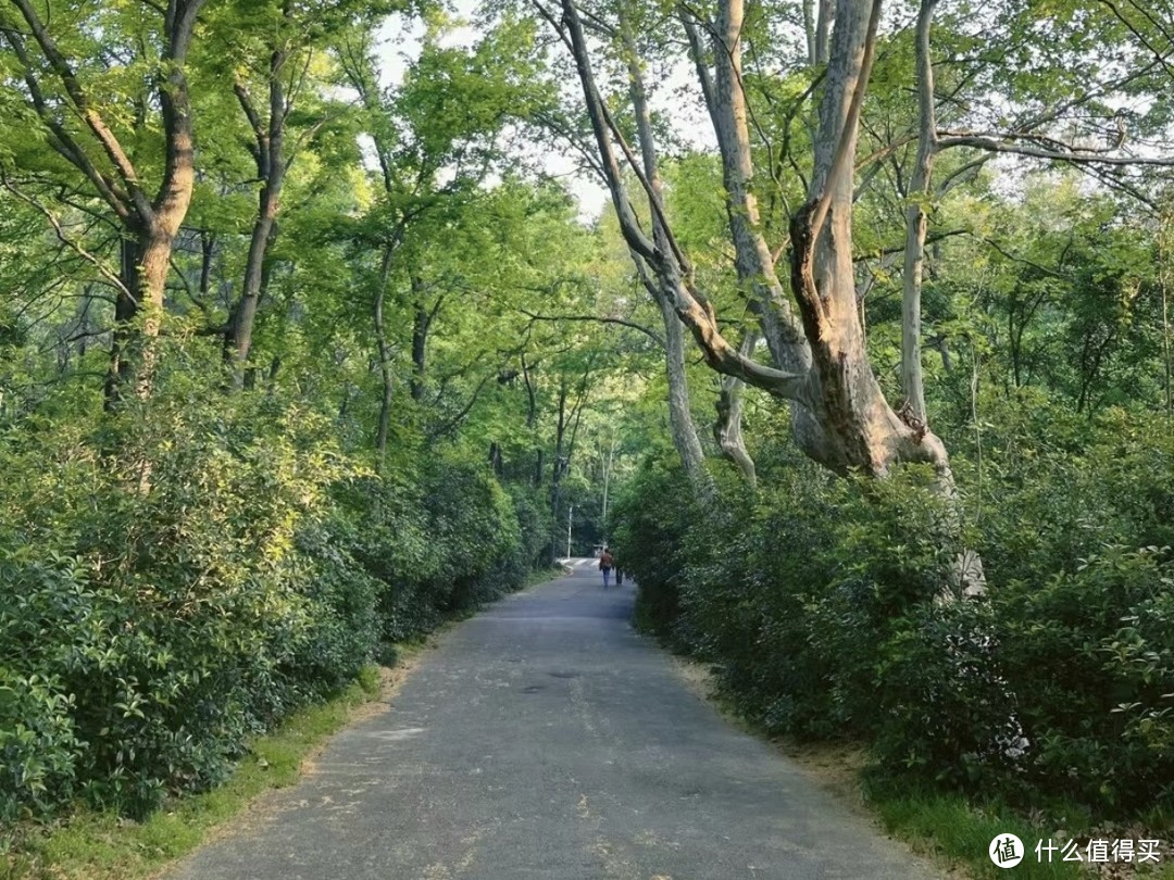 单位团建除了爬山还是爬山