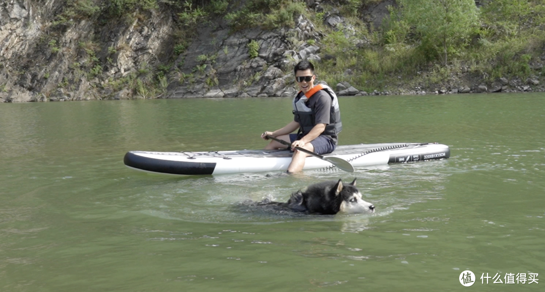 ​胖狗玩桨板时：怎么敢不带老子自己就去玩水！？