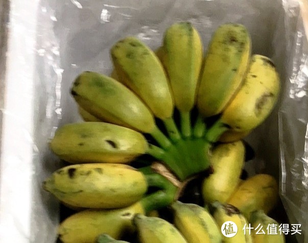 618好物种草之香蕉跟米蕉