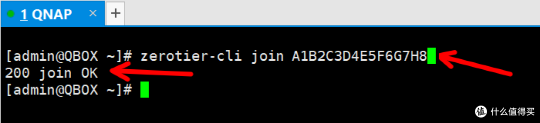 一行命令绑定Zerotier虚拟网络