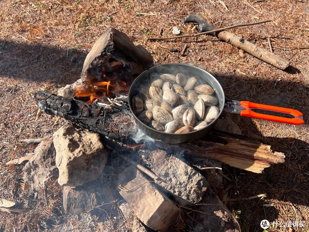 618生鲜海鲜怎么选！一篇搞定，附上我家常购清单，海鲜的坑我帮你填了！