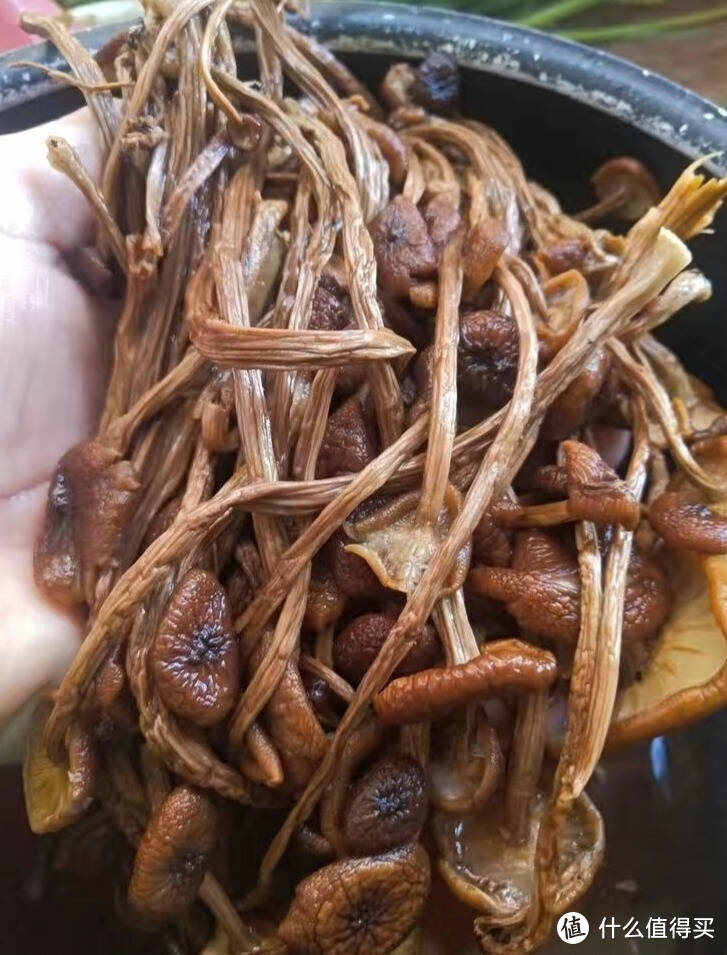 质量好味道佳的茶树菇，满足对食材的追求