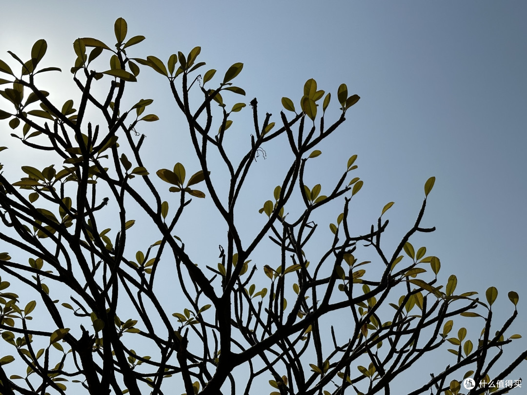 2023 年 618 有什么适合拍照手机推荐？手机推荐与选购指南