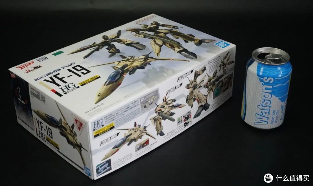 HG 1/100 超时空要塞PLUS YF-19开箱