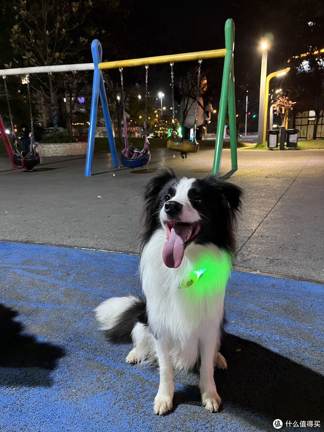 夜间遛狗必备的发光夜行灯
