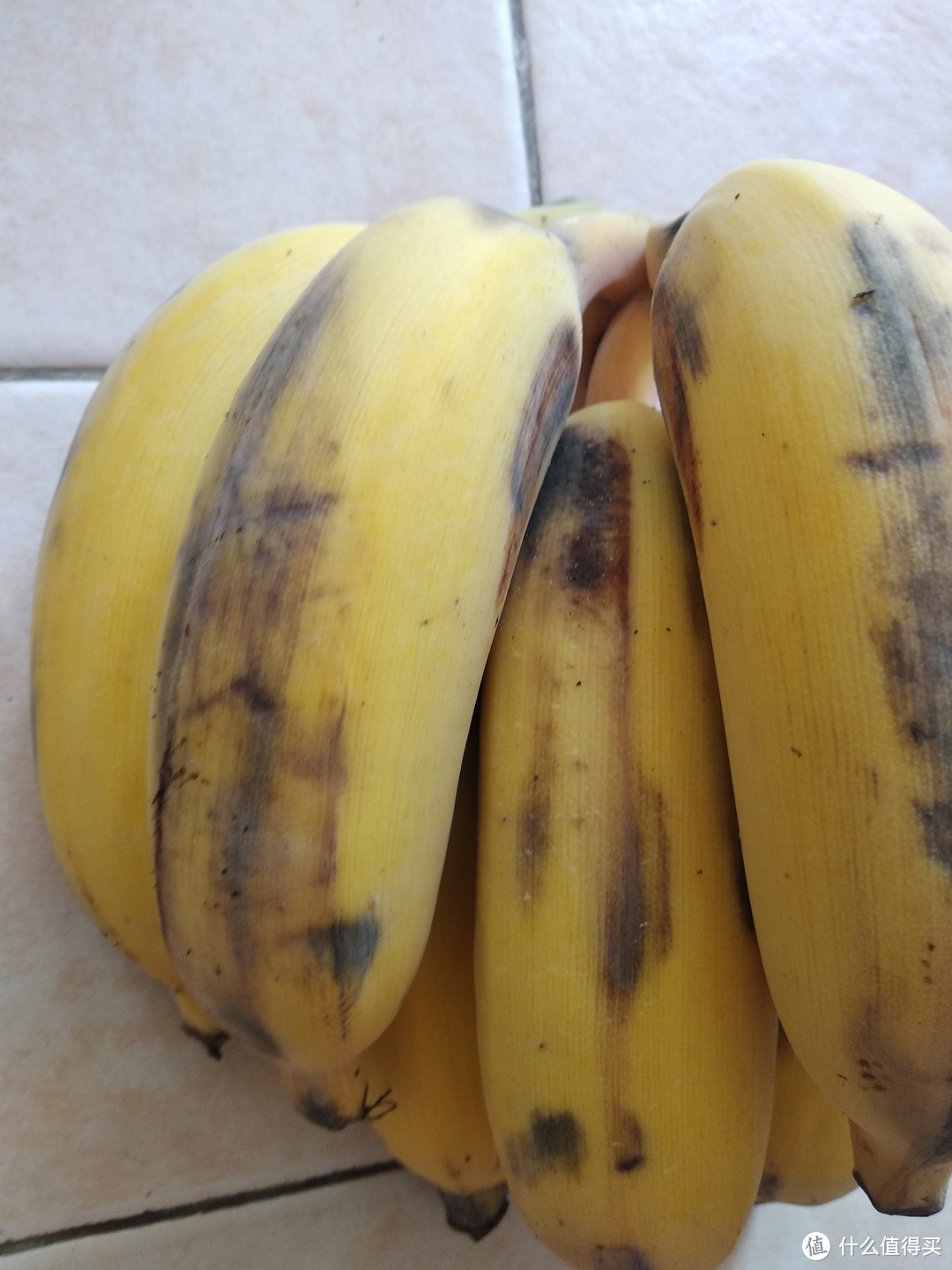 继续岭南水果篇-香滑的奶蕉和木瓜
