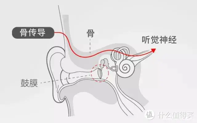 不入耳，颜值在外：骨聆SS900真无线骨传导耳机