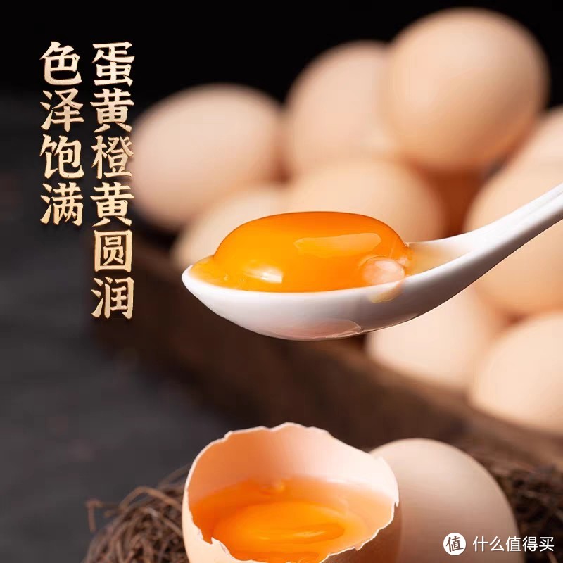 鸡蛋饼的家常做法，简单又营养