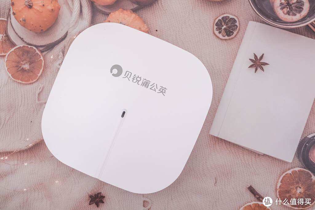 高速WiFi6，轻松实现全屋WiFi覆盖，贝锐蒲公英云AP评测