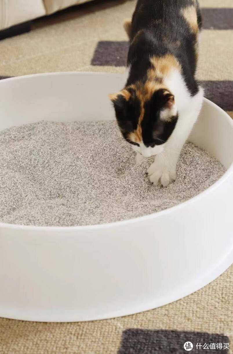 铂钻低尘猫砂，怎么使用也不脏！