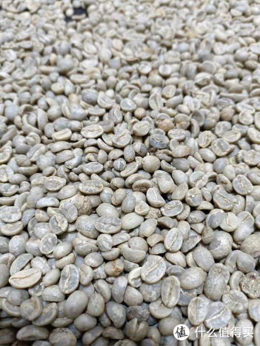 云南咖啡，丰富了国内外咖啡市场的选择
