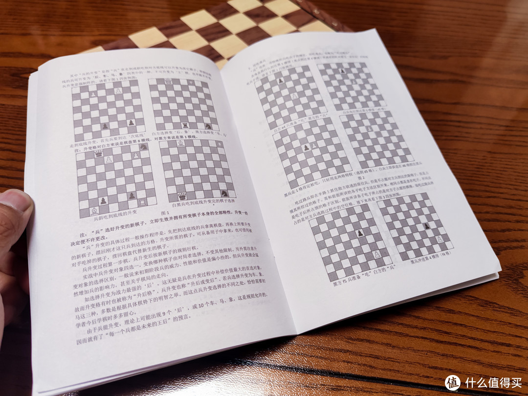 介绍了从入门到基础的一些国际象棋小知识