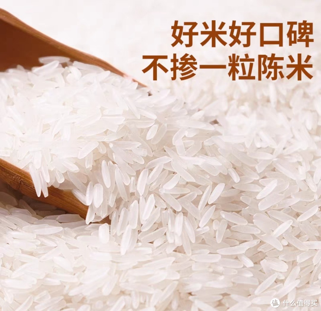 【太粮集团】岭南经典南方油粘米当季2022新米1斤装大米香米500g
