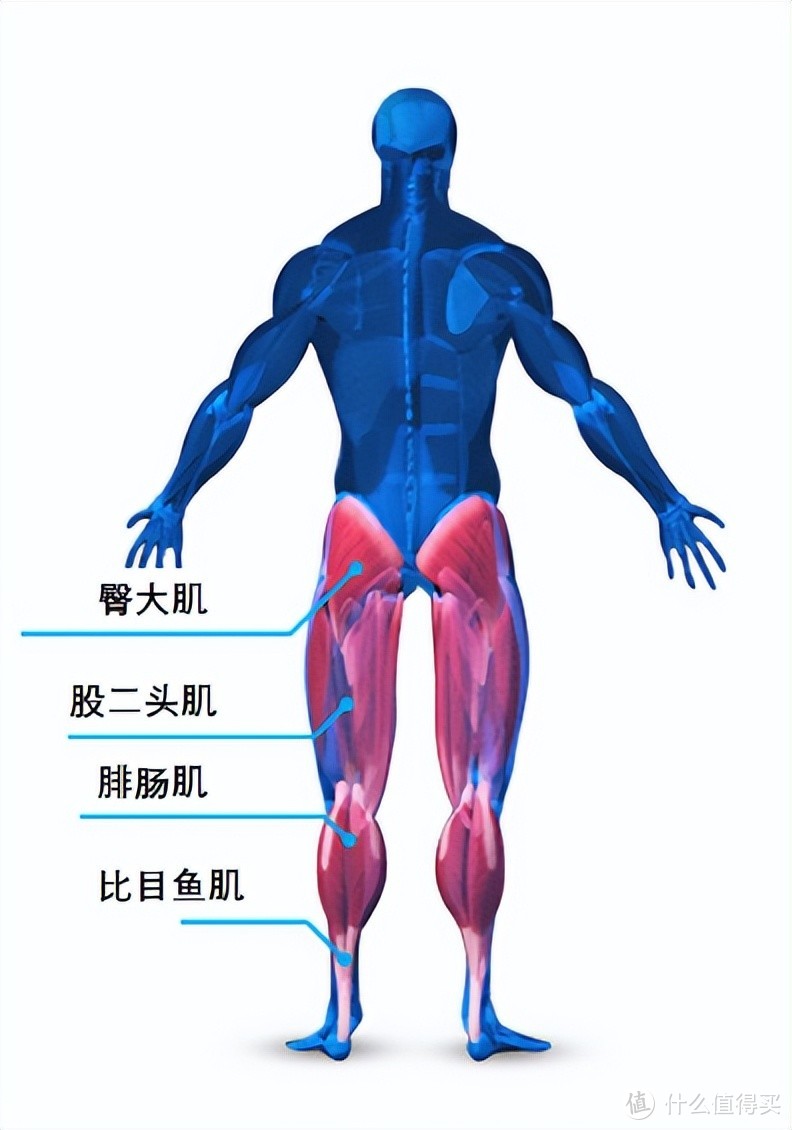 按摩椅怎么买，贴身实测带你对比荣泰A60、奥佳华7608TEN+ 【2023升级款】、西屋S500三款万元按摩椅！