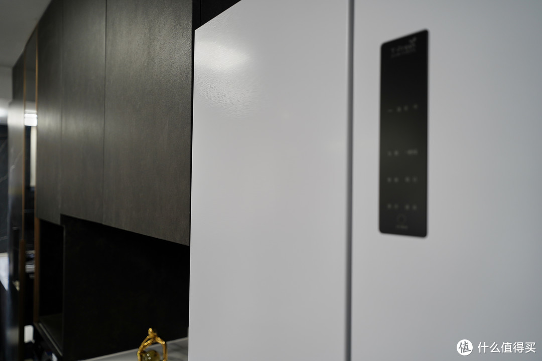 【评论有奖】《到站秀》一体式美学家居的新杰作 TCL超薄零嵌冰箱T9开箱体验