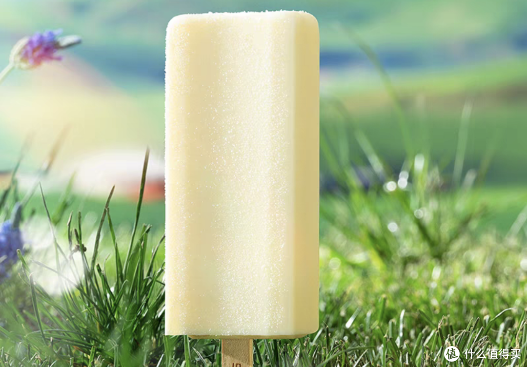 炎炎夏日继续分享雪糕/冰淇淋好物好价格清单，这个夏天让雪糕相伴吧！