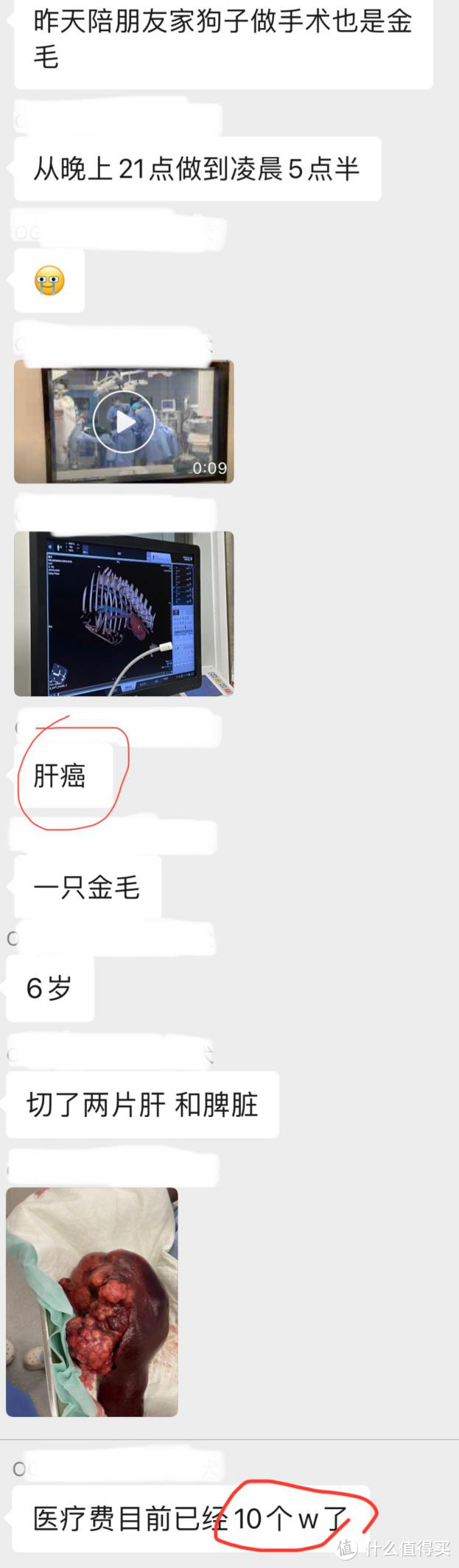 花了10个w救狗命的朋友