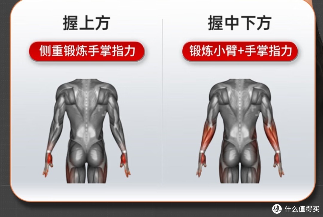 我的运动主场｜想宅在家里就能锻炼？推荐几款在家里就能锻炼的器材，便宜又好用