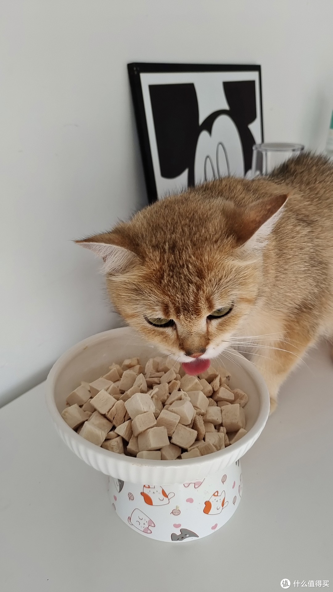 有什么适合奖励猫咪的小零食？