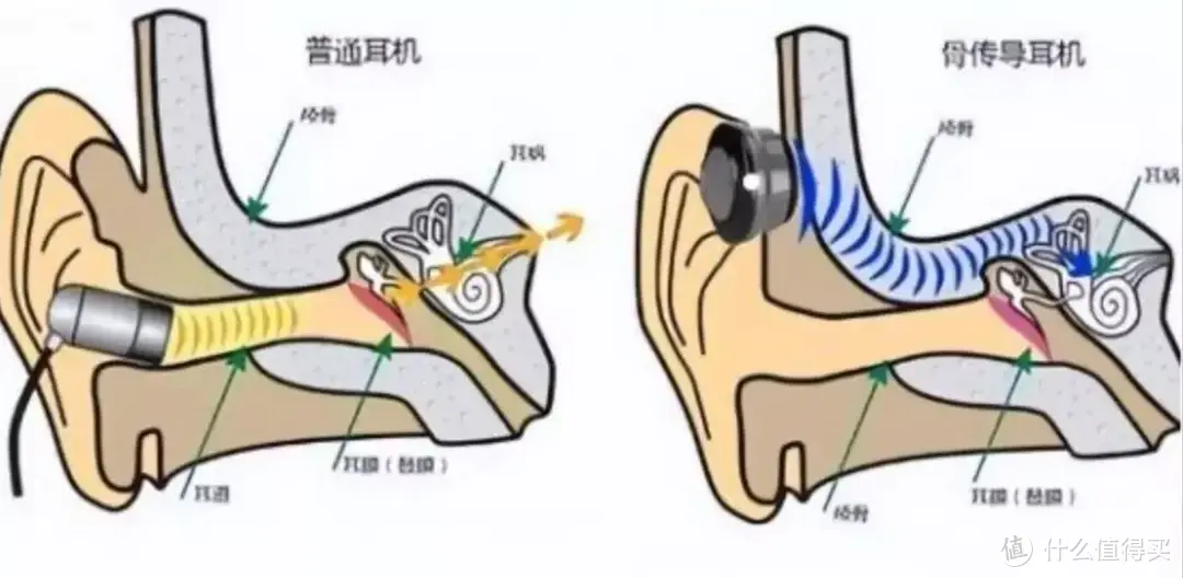 不入耳，真舒适！earsopen骨聆SS900 真无线骨传导耳机使用体验
