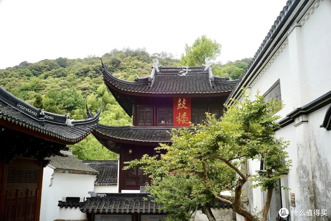 奢牌酒店最多的浙江小县城，我想在这儿度过一整个夏天。