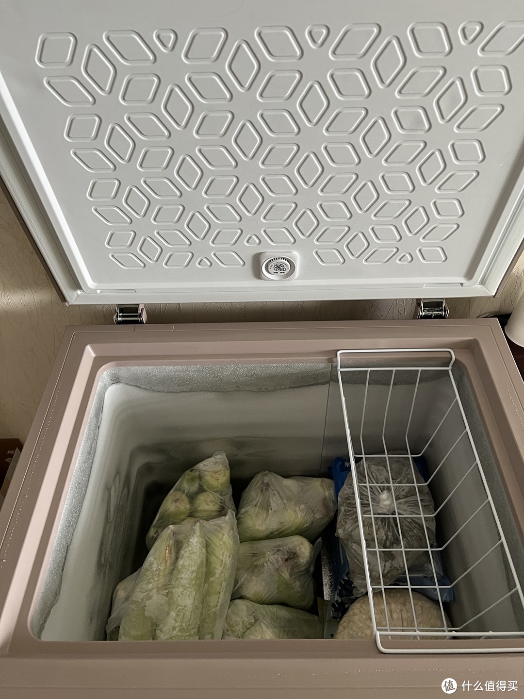 常规冰箱的补充伴侣容声冰柜