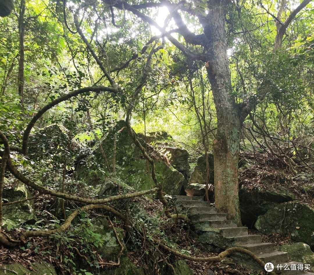 中国原生态最美山乡，石台牯牛降！